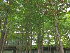 -石家庄市植物园