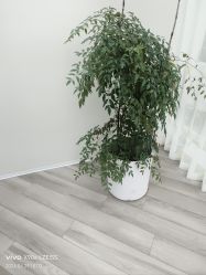 -HEYAN荷妍专业脱毛连锁机构