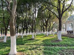 -白塘生态植物园