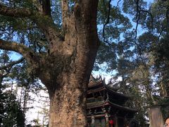 -安溪清水岩