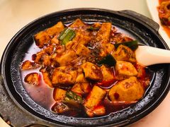 -陈麻婆豆腐总店