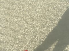 -白沙滩