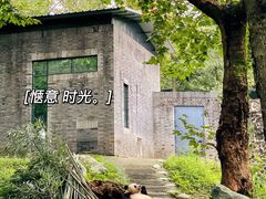 -都江堰中华大熊猫苑