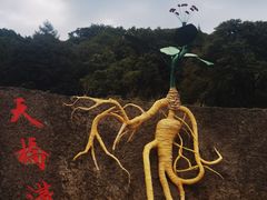 -丹东天桥沟景区
