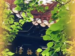 -杭州黄龙洞