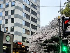 -玛格萝妮比萨屋(四平店)