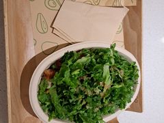 -油梨树 AVOCADO TREE(亮马桥店)