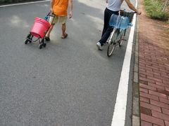 -火炉山森林公园