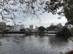 -荔湾湖公园