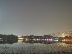 -南翔镇银翔湖公园