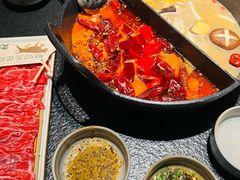 -大龙燚·旷野鲜火锅(广州首店)