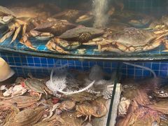 -望海潮海鲜店 特色家常菜(在海一方店)