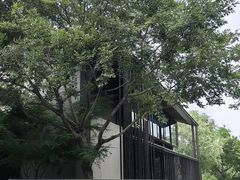 -木守西溪溪隐餐厅