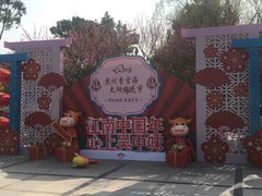 -香雪海
