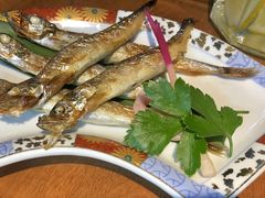 -森味薪火烧•烧鸟居酒屋•日本料理(望京店)