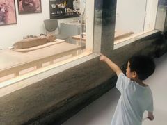-九龙公园