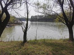 -苏州太湖国家湿地公园