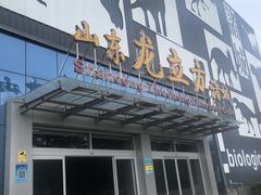 -诸城市恐龙博物馆