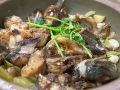 -红炎炎农家菜老字号(金水台店)