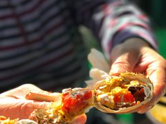 -丫丫蟹庄·苏式园林农家乐·阳澄湖大闸蟹(阳澄湖莲花岛店)