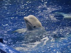 -石林冰雪海洋世界