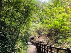 -广州市流溪河国家森林公园