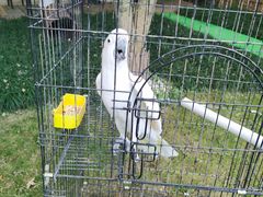 -雪茄客PURAVIDA俱乐部(上海店)