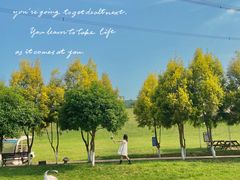 -紫颐香薰山谷景区