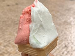 -柠檬车露(卖草地店)