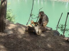 -山西通天峡景区