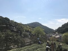-龙井村