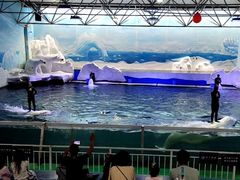 -秦皇岛乐岛海洋王国