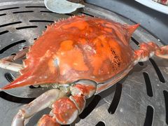 -大锅强·蒸海鲜青岛菜(吾悦广场店)