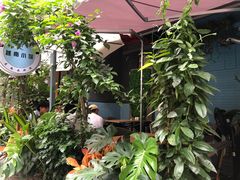 -燕子·越南小馆(贝新巷店)