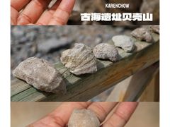 -天津古林古海岸遗迹博物馆