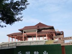 -大湾区中央湿地公园