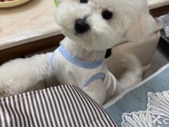 -久久宠物(河东万达店)