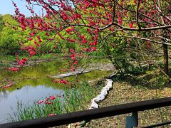 景点-西湖风景区-江洋畈生态公园