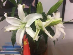 -FineYoga梵音瑜伽·普拉提