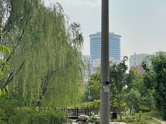 -莲花池公园