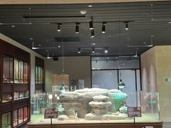 -帕帕拉兹宠物(亚洲旗舰店)