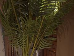 -泰合玺·精油疗愈SPA(狮山天街生活广场店)