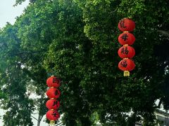 -悦城龙母祖庙