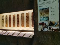 -中国农业博物馆