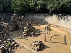 -太子山公园(园东路)