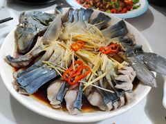 -煲来饱去冷水鱼