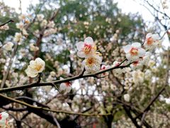 -盘门景区