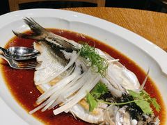 钱湖四宝-朋鱼-宁波柏悦酒店·钱湖渔港