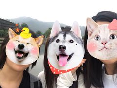 -特种渔场