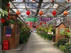 -南宫五洲植物乐园